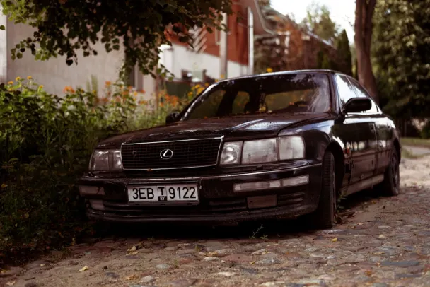 Casino Campo Bet App Android/iOS